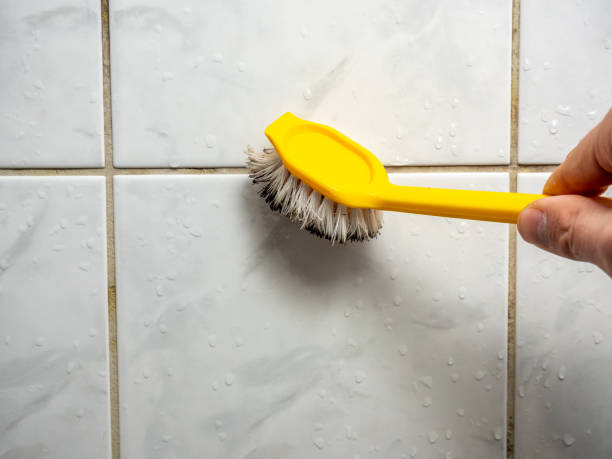  Allen Park, MI Mold Removal Pros