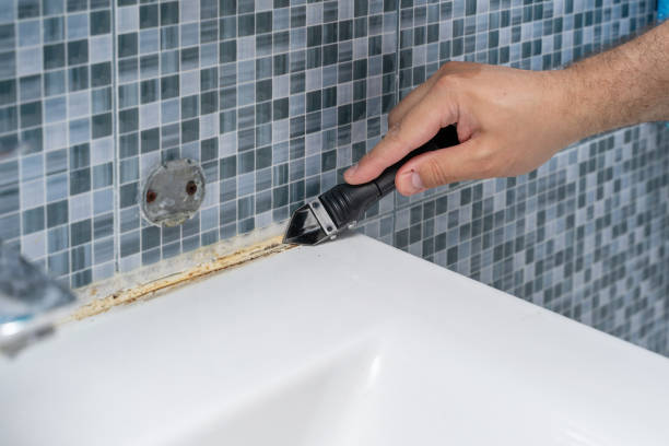 Best Office Mold Removal Services  in Allen Park, MI